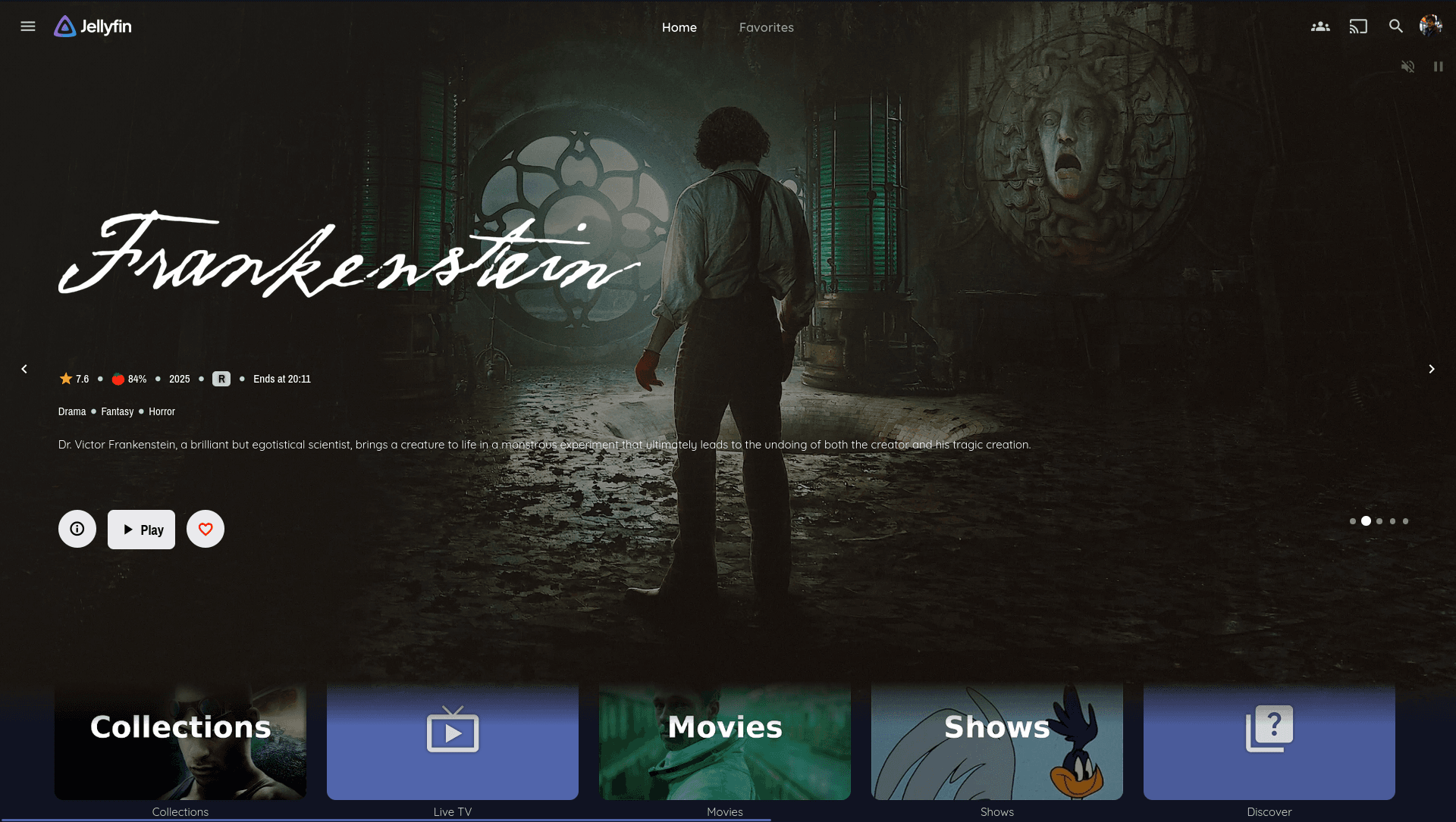 Jellyfin Web client